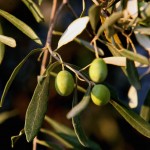  ¡Àœ ¡…—…Õ¡ ◊—ŸÃ¡‘¡ ¡–œ ‘«Õ ¬œ…Ÿ‘…¡  (EUROKINISSI/‘¡‘…¡Õ¡ Ã–œÀ¡—«)