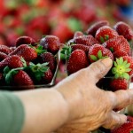 ʋŉӔœ PϠԇ͠ąՔő`ω ˁڊœ Cϑœ Ӆ ϋǠԇ͠ŋˁā MԉđٍԁӠӔϠ󯭠ԇӠʕэǓǓ Џՠϐٓ ˅ͅ ȁ ԏՓ ʋŉӉŠʁɠȁ τǃǓŉ ԏ͠ʁԁ́˙ԇ Ӕɓ ̅Á˅ӠKՓɄœ ӏՐő ́ъŔ (EUROKINISSI/ԁԉM`̐ϋQǩ