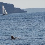 θαλασσα σπορ κολυμπι