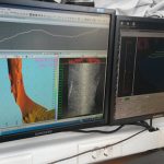 Δήλος ενάλια έρευνα