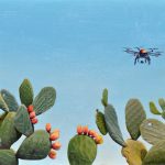 Θεωδορόπουλος Στάθης, The drone.jpg εκθεση παρίσι 5