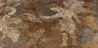 ΑΠΟΚΑΛΥΨΗ ΒΟΤΣΑΛΩΤΟΥ ΔΑΠΕΔΟΥ ΣΤΟΝ ΑΡΧΑΙΟΛΟΓΙΚΟ ΧΩΡΟ ΤΟΥ ΜΙΚΡΟΥ ΘΕΑΤΡΟΥ ΤΗΣ ΑΜΒΡΑΚΙΑΣ